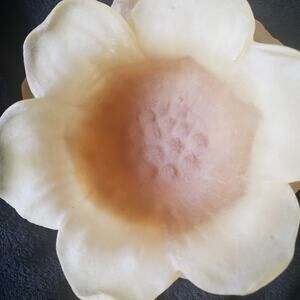 Dorothy Thorpe Resin Flower Bowl Set of 10